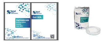 器官特异性生物材料甲基丙烯酸酰化明胶（GelMA）